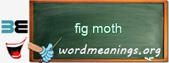 WordMeaning blackboard for fig moth